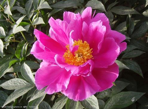 爱情让人不开心的句子说说 关于爱情不开心的说说