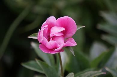 李大仁经典语录大全