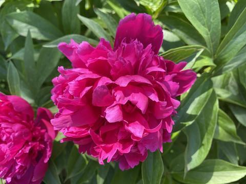 朋友圈怎么发高级干净 适合发朋友圈干净温暖的句子