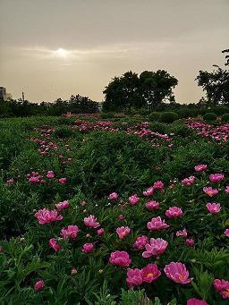 感恩老师的名言 描写感恩老师的句子汇总69句