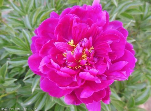 感觉自己很没用的句子 讽刺自己废物的句子47句