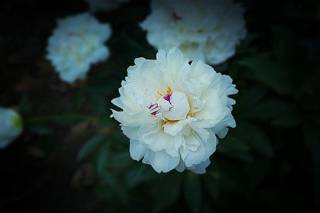 爱护环境保护地球的标语(精选33句)