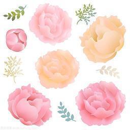 早安心语励志收集26句