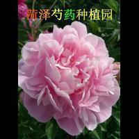 关于天热的经典语录精选57句