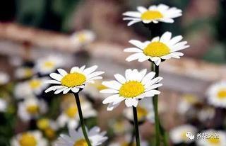 讽刺虚假的友情的句子