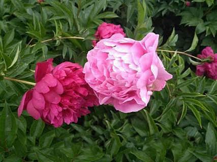 经典安慰人心情不好的句子大全 心情不好安慰的话语短信