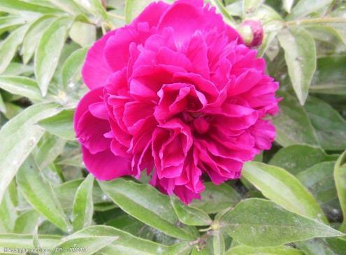 教师节走心文案大全(精选56句)