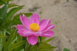 朋友圈晚安短句汇编30句