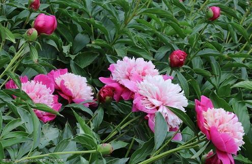 给最好的自己句子 优秀自己的正能量句子