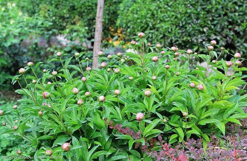 抗击疫情的正能量句子大全(精选60句)