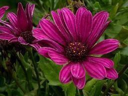 高情商的哄人句子 十句哄女人开心的话(精选62句)