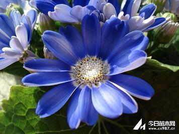 早安暖心情话摘录23句