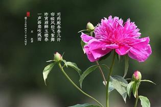 适合发朋友圈的立秋美好句子2021年最新(精选74句)