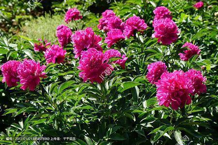 心情低谷时的经典句子