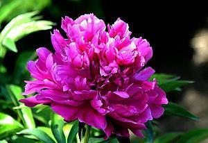 感慨一下心情的句子推荐33句