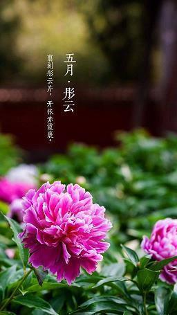2021年再见的朋友圈经典文案(精选86句)
