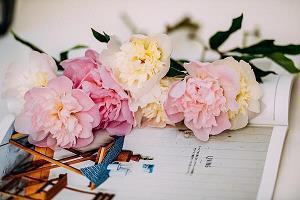 描写春天的鸟的诗句29句