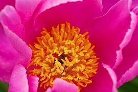 月底最后一天的励志 上半年最后一天激励团队的话汇编79句