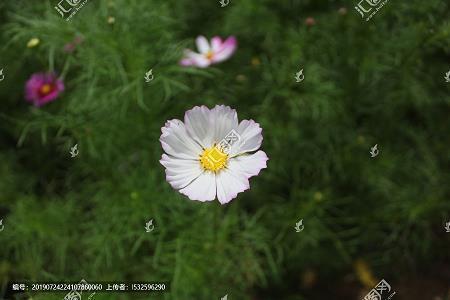 给爱阅读的孩子鼓励的话(精选39句)