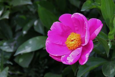 抖音惊蛰优美句子大全