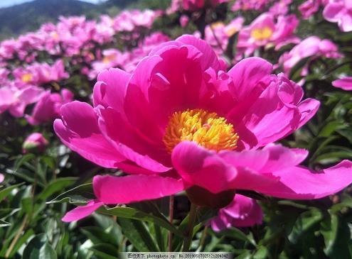 温暖励志的句子 温暖励志的简单句子(精选18句)