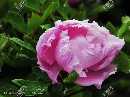 跟幼儿园孩子在一起开心的句子