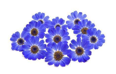抖音立夏时节的优美寄语汇总90句