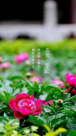 时光飞逝的唯美短句 致已不再年轻的自己