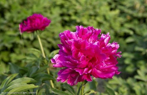 有内涵有文采的句子 宁愿犯错不留遗憾