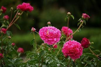 形容永远喜欢你的句子 默默喜欢一个人的说说49句