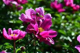 激劢学生奋斗的句子 最牛老师激励学生话语