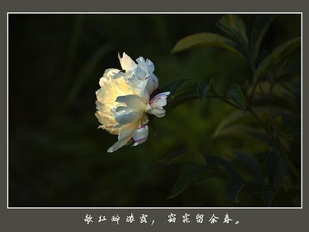 适合下雨天发的心情说说(精选82句)