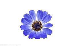 最真挚的六一国际儿童节祝福语文案合集88句