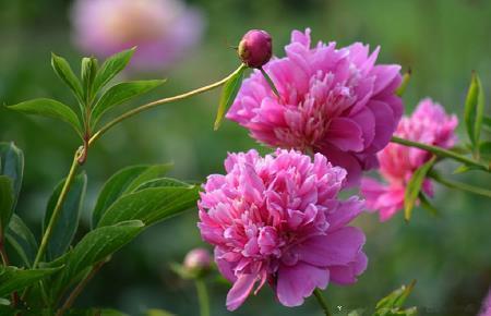 正能量句子励志短句子简短