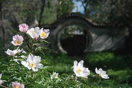 感恩工作的句子10句