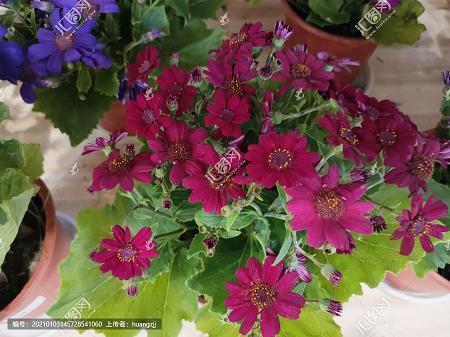 爱情忧郁的QQ个性说说心情集合21句