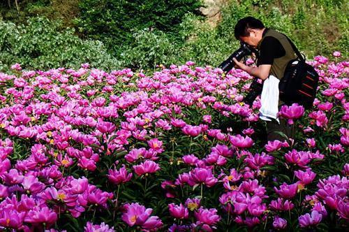 热爱奉献的正能量句子