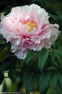 能让人瞬间就哭的话 今生有你，所以我的爱才如此浓烈