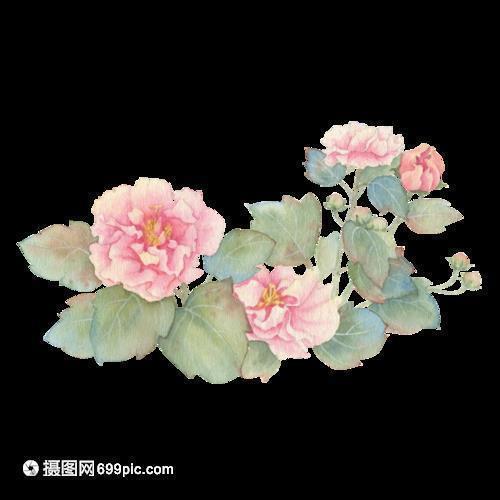 吃货的句子 经典语录汇编37句