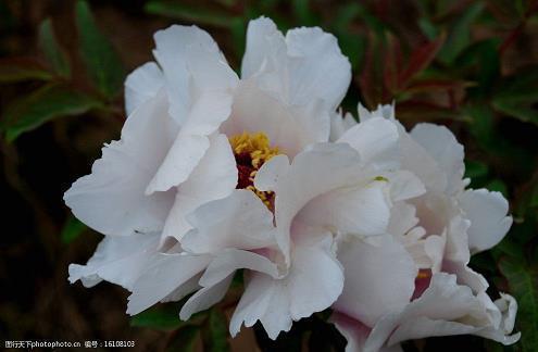 表达伤感的诗句89句