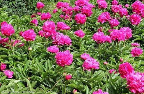 下雨天的优美文案(精选35句)