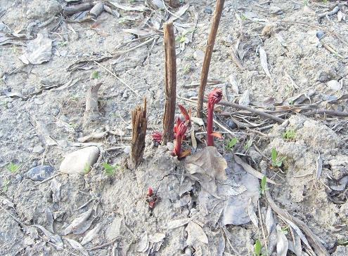 珍惜当下珍惜眼前人的优美句子(精选38句)