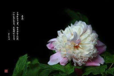 温暖而又阳光励志的句子24句