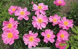 适合晚上发的暖心短句 晚安温馨的句子汇编76句