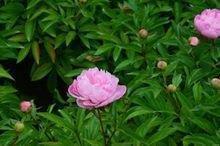 西游记的好词好句(精选52句)