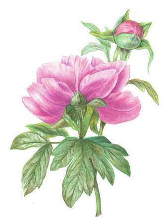 描写七月的优美句子朋友圈摘抄20句