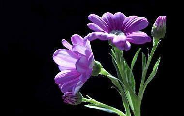 霜降朋友圈最火的文案句子(精选73句)