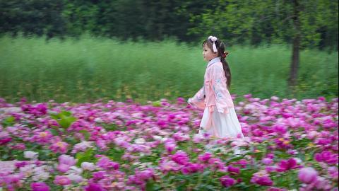 惬意生活的唯美句子 享受此刻的惬意的句子