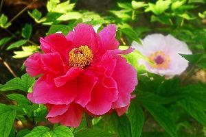 念旧回忆过去的句子 回忆太拥挤，我无法呼吸，只能拥抱着空气