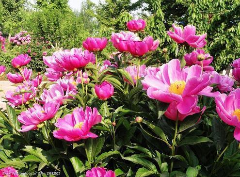 暗示对朋友失望的句子